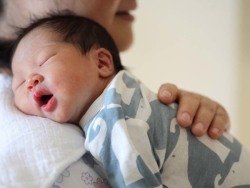 男性因素案例
