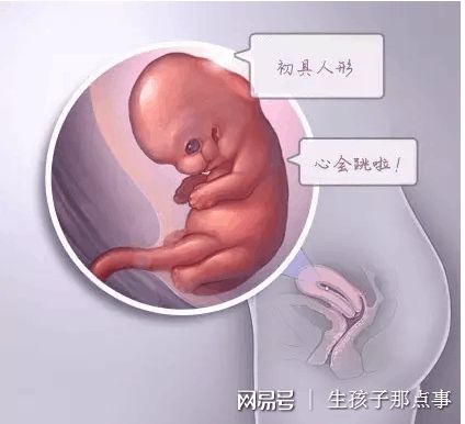 关于清砚堂中医馆